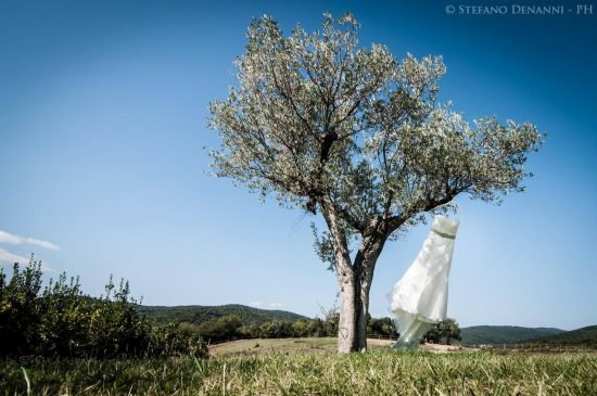 fotografo matrimonio massa marittima